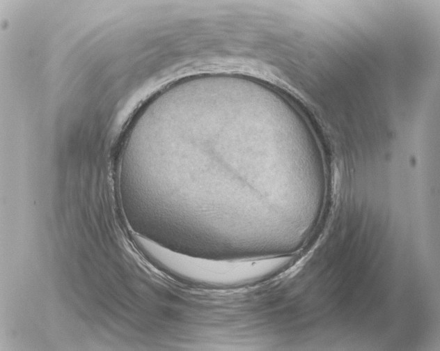 X0000052641498200507221802