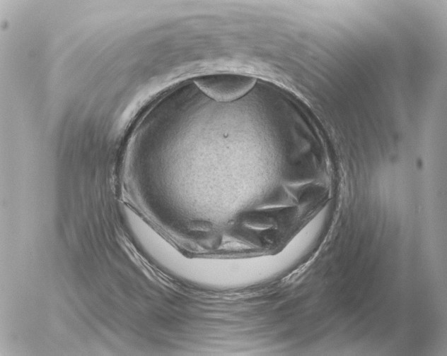 X0000052641499200507221802