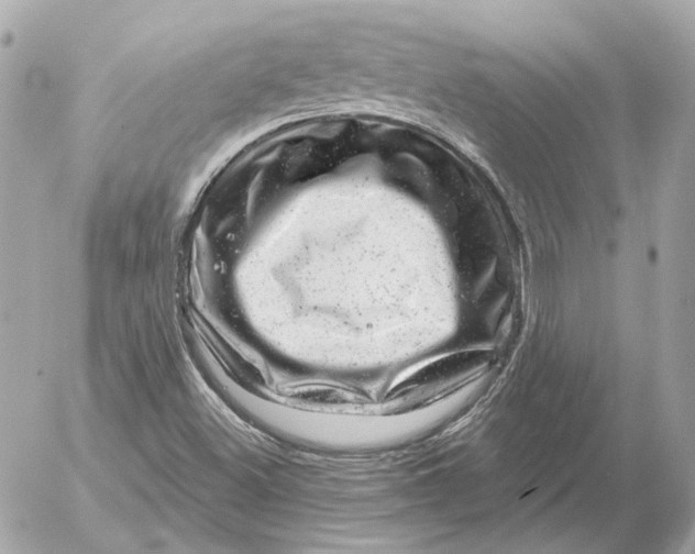 X0000052641500200507221802