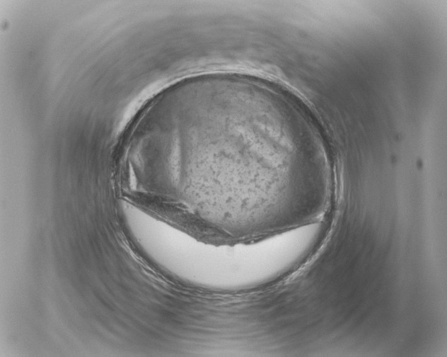 X0000052641501200507221802