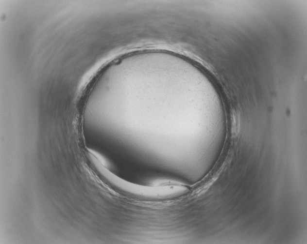 X0000052641502200507221802