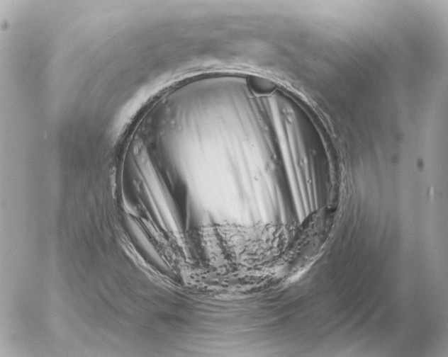 X0000052641503200507221802