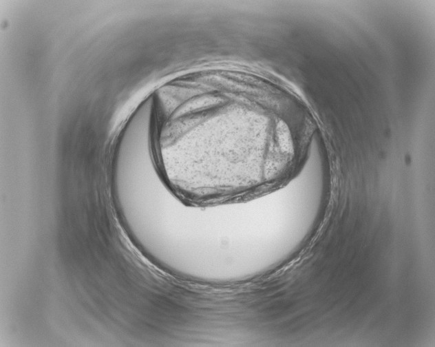 X0000052641504200507221802