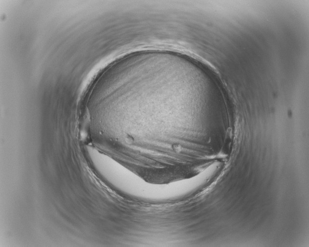 X0000052641506200507221802