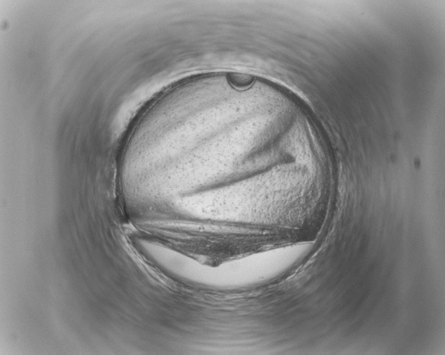 X0000052641507200507221802