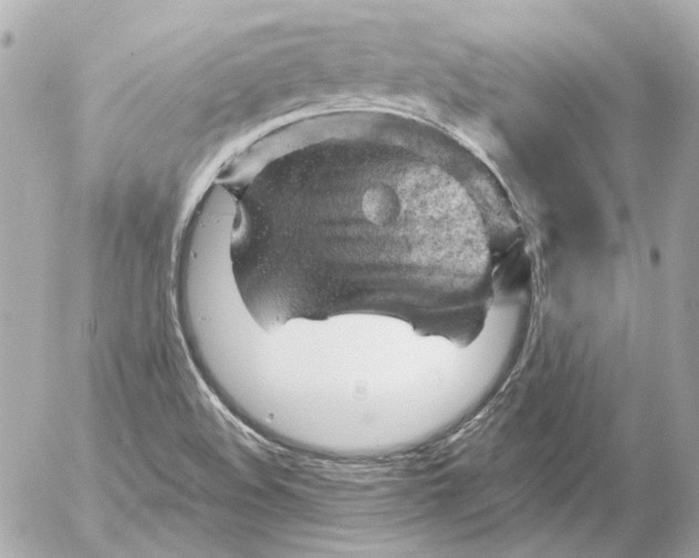 X0000052641508200507221802