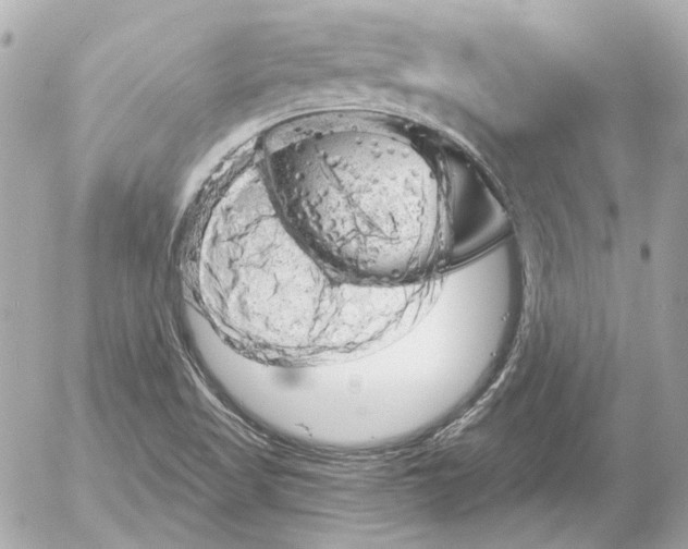 X0000052641509200507221802