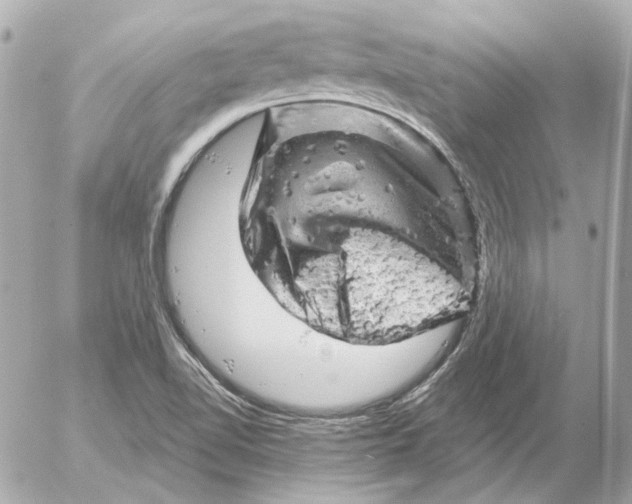 X0000052641510200507221802