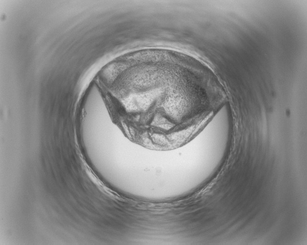 X0000052641511200507221802