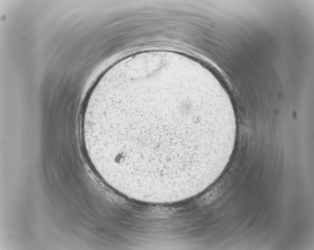 X0000052641514200507221802