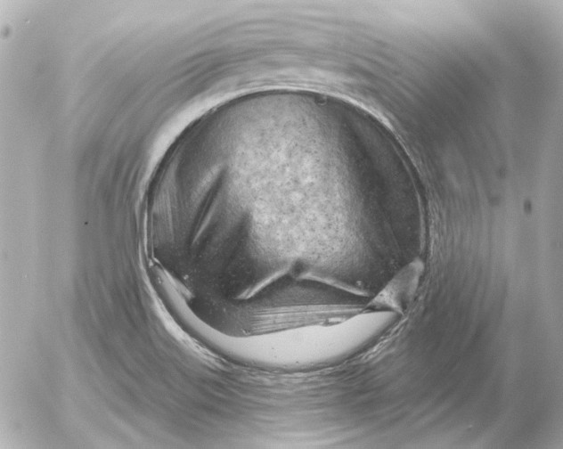 X0000052641515200507221802