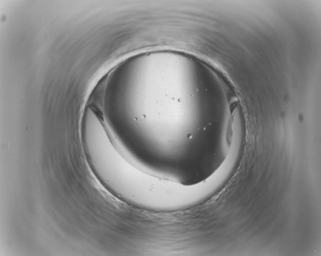 X0000052641516200507221802