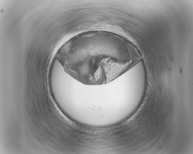 X0000052641517200507221802