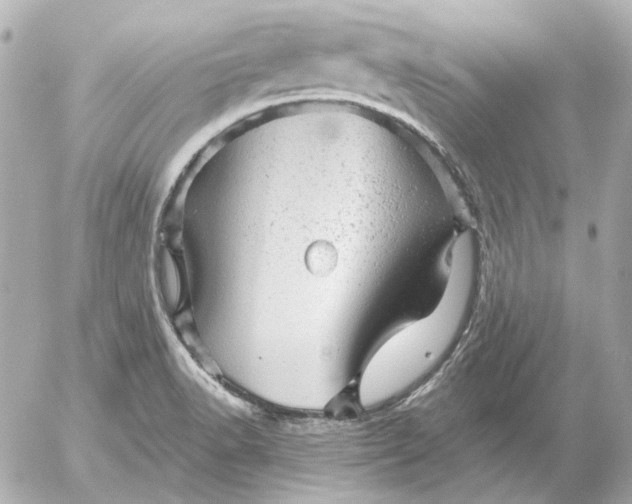 X0000052641518200507221802