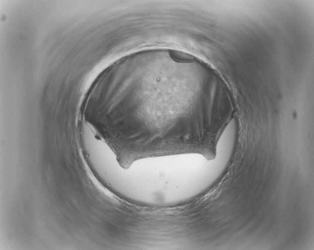 X0000052641519200507221802