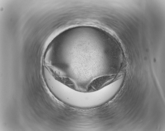 X0000052641520200507221802