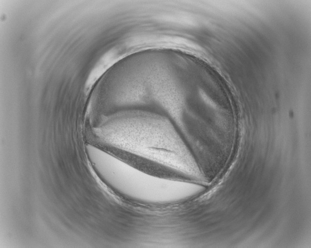 X0000052641521200507221802