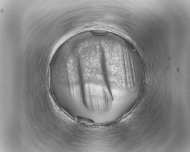 X0000052641522200507221802