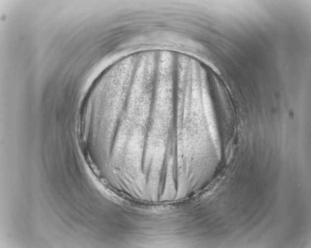 X0000052641523200507221802