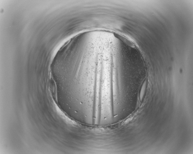 X0000052641524200507221802