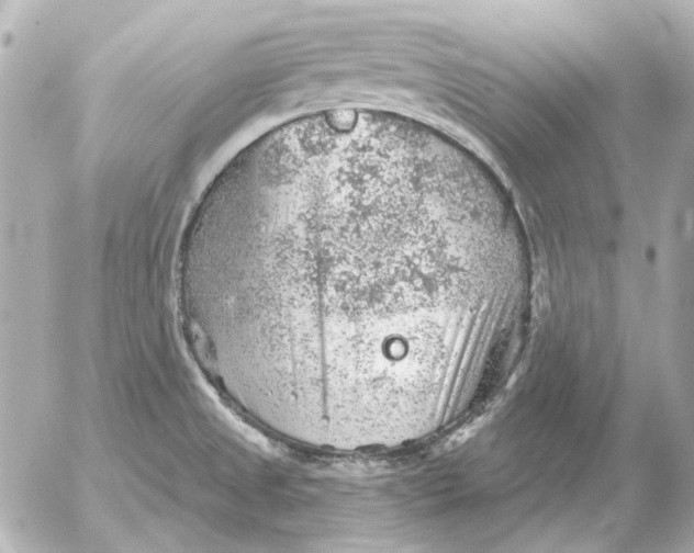 X0000052641525200507221802