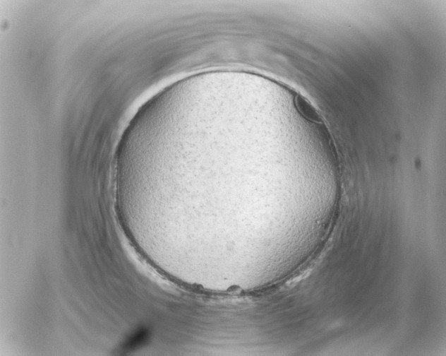 X0000052641526200507221802