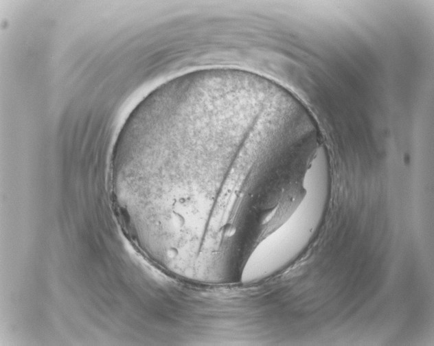 X0000052641527200507221802