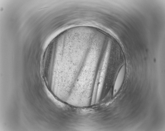 X0000052641528200507221802