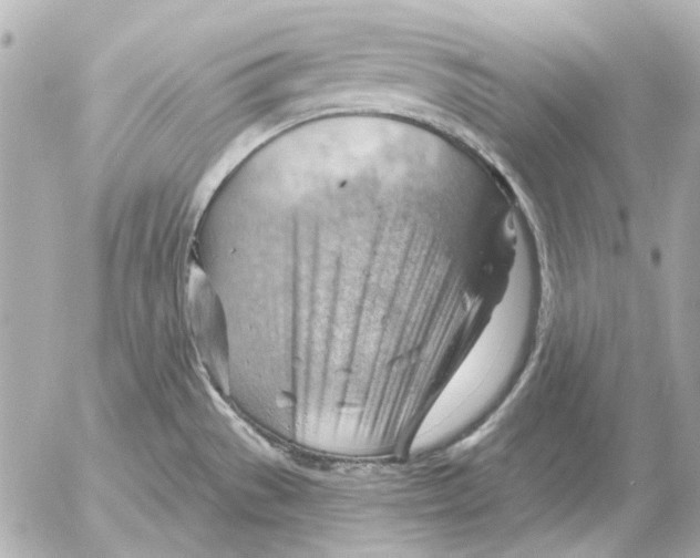 X0000052641529200507221802