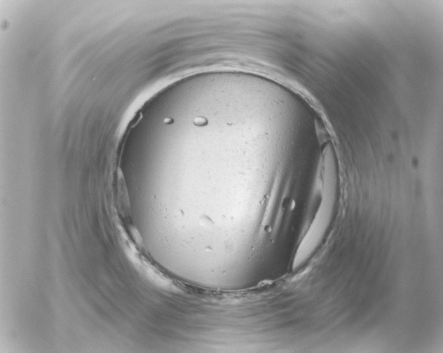 X0000052641530200507221802