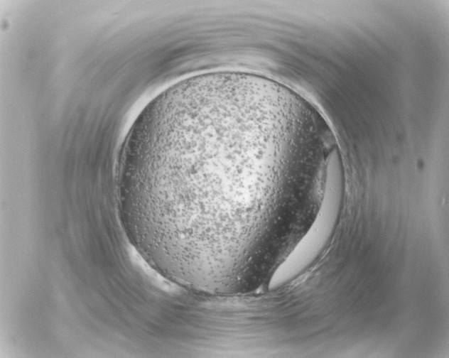 X0000052641532200507221802