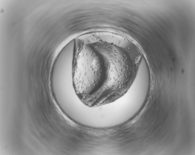 X0000052641533200507221802