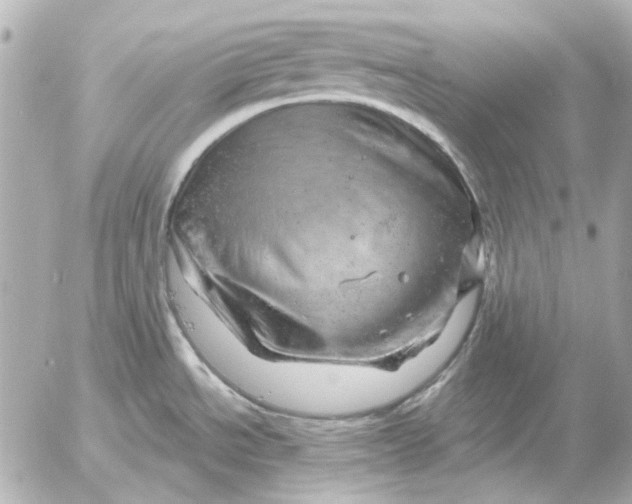 X0000052641534200507221802