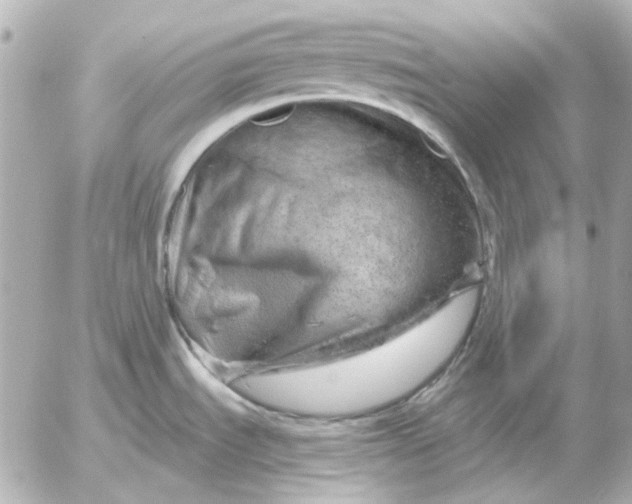 X0000052641535200507221802