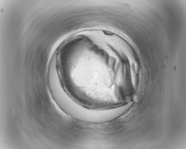 X0000052641536200507221802