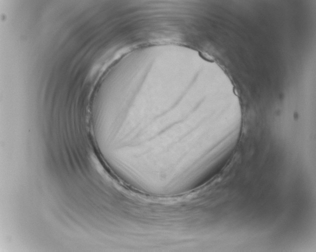 X0000052640002200507292317