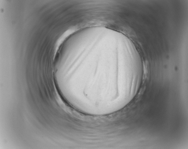 X0000052640003200507292317