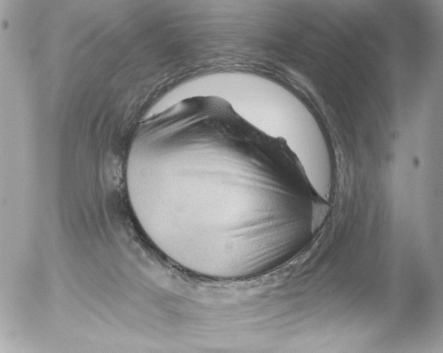 X0000052640025200507292317