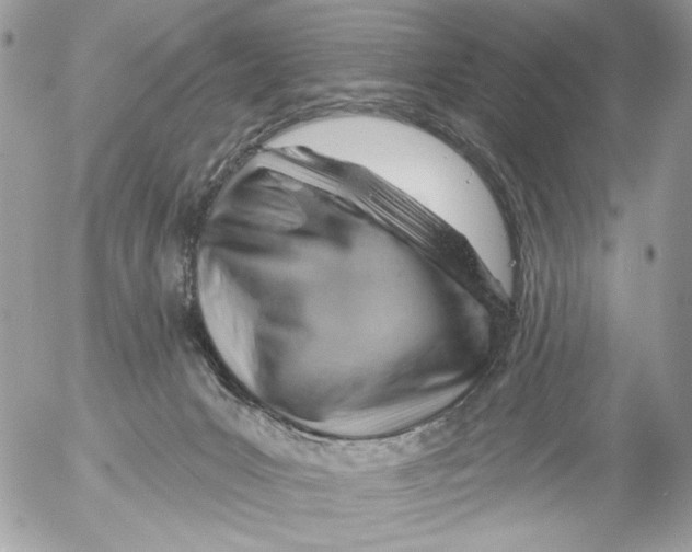 X0000052640031200507292317