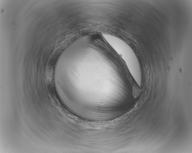 X0000052640033200507292317