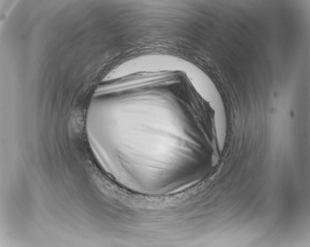 X0000052640037200507292317