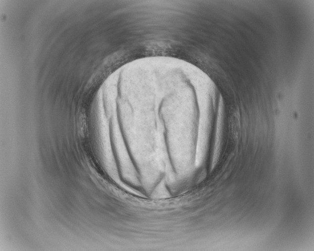 X0000052640038200507292317