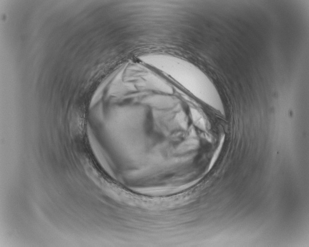 X0000052640039200507292317