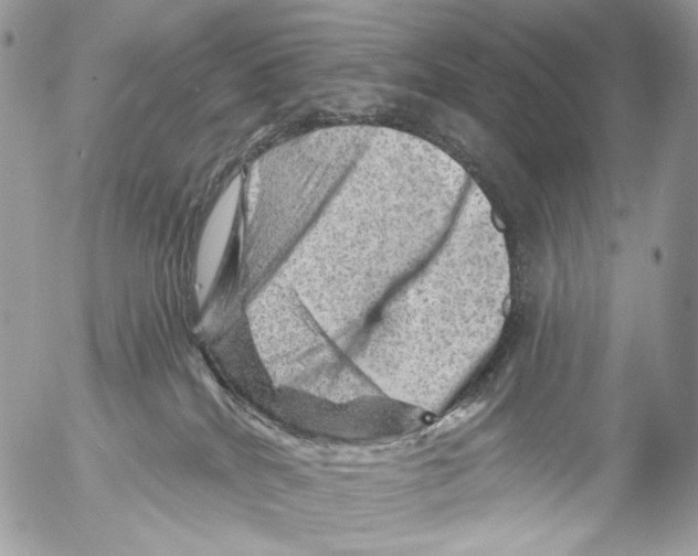 X0000052640040200507292317