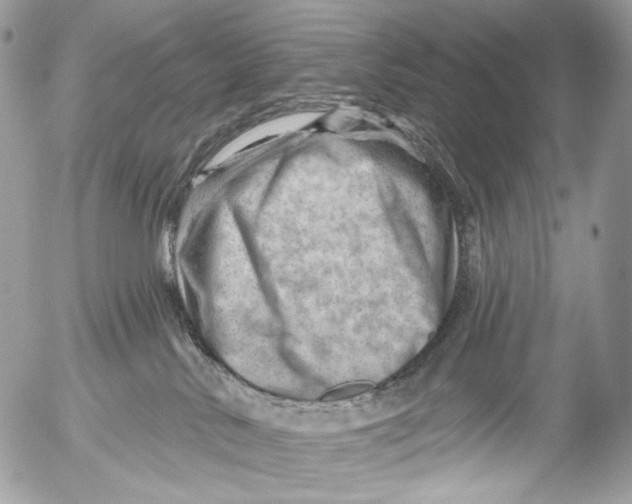 X0000052640042200507292316