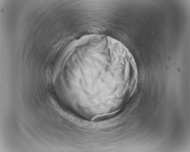 X0000052640043200507292316