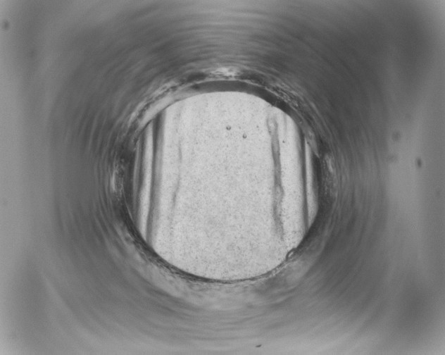 X0000052640044200507292316