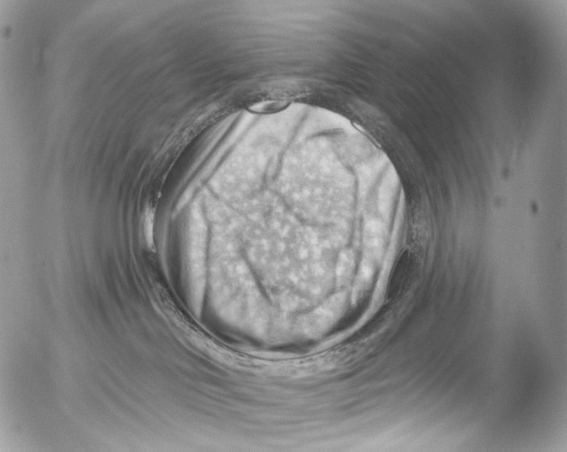 X0000052640046200507292316