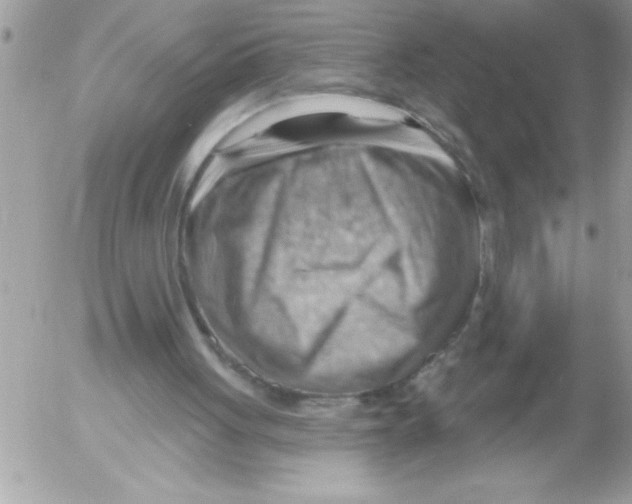 X0000052640051200507292315