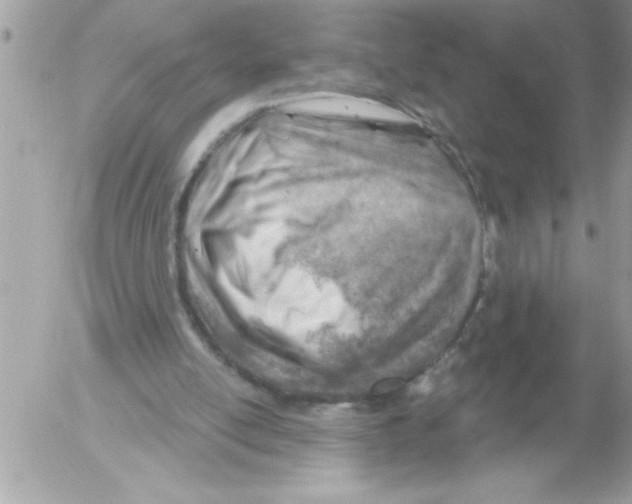X0000052640054200507292316